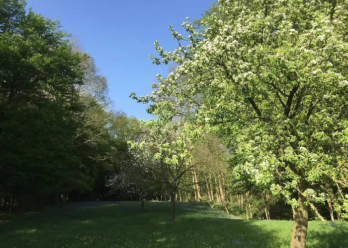 Confortable Duplex Au Coeur De La Campagne Picarde A 1H De Paris